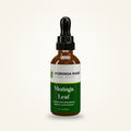 Moringa Leaf Elixir