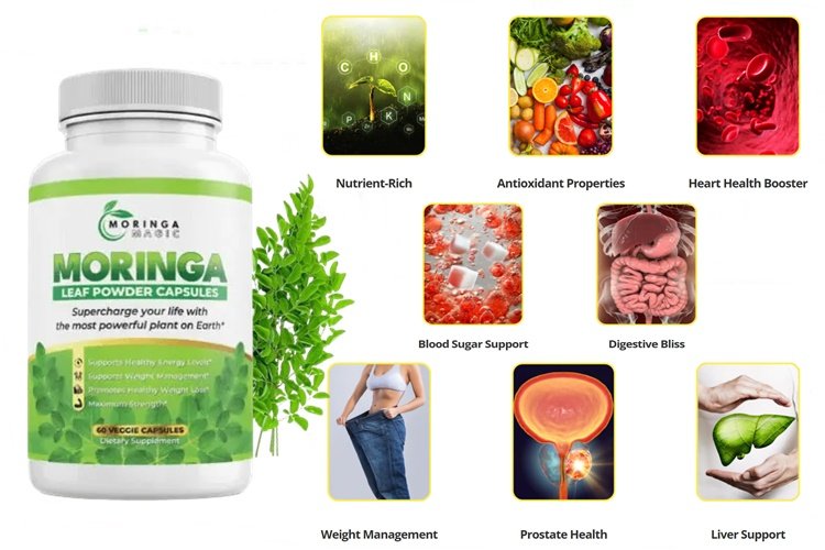 Moringa Magic Ingredients